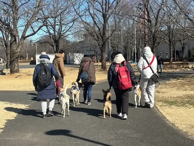 みんなで公園を散歩している犬